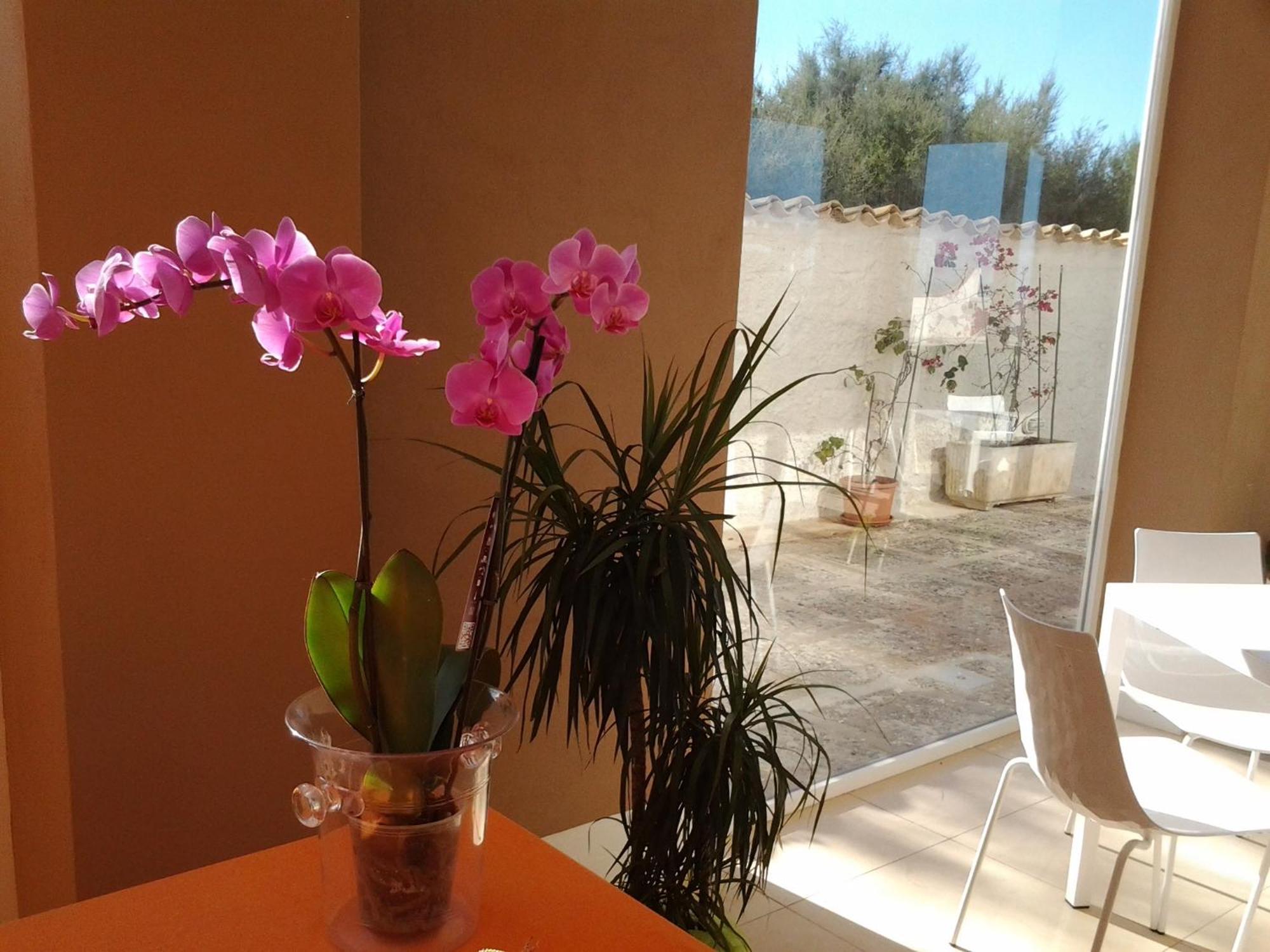 Bed & Breakfast Suitebeach And Marsala